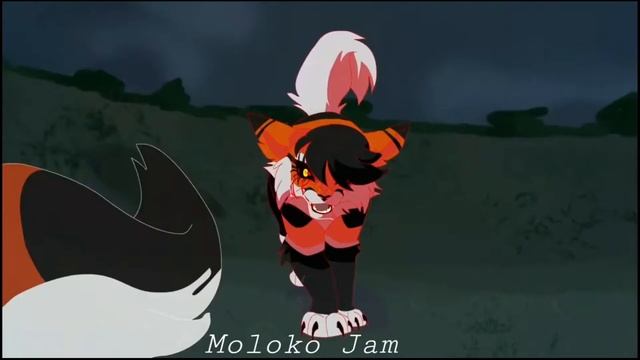 Коты-Воители клип Blood//Water смотреть онлайн