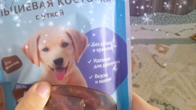 Подарки Марчика на НГ/Покупки из зоомагазина