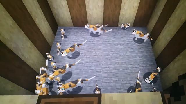 Minecraft Cat Types смотреть онлайн