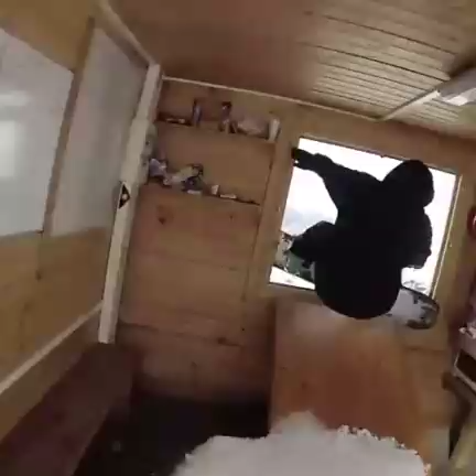 Сноубордист врезался в окно смотреть онлайн