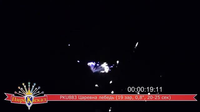PKU883 Царевна лебедь 2014 смотреть онлайн