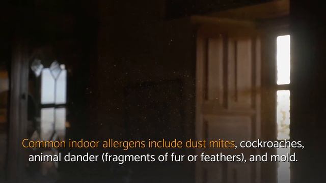 What is Asthma - is Asthma TREATABLE? | WELLNESS in Life смотреть онлайн