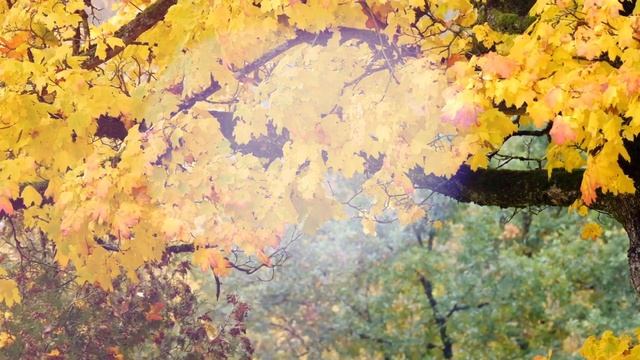 1 октября. Что нужно и что нельзя делать в этот день. смотреть онлайн