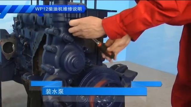 Weichai WP12 Part5 Assambly