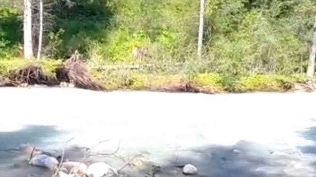 Самый лучший в мире день рождение 🥳🥳🥳 смотреть онлайн