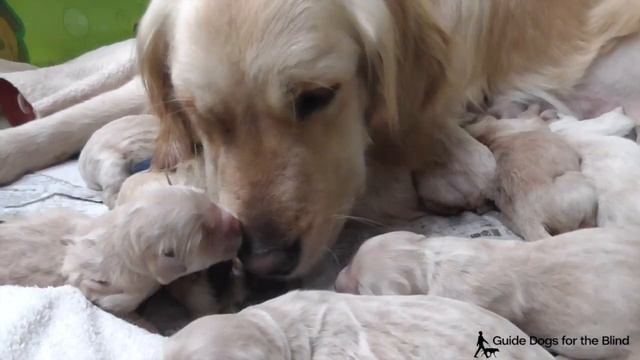 05-01-15 Agave смотреть онлайн