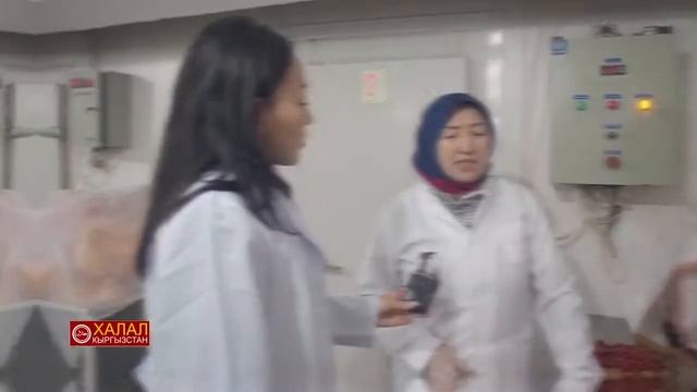 reportaj AL HALAL смотреть онлайн