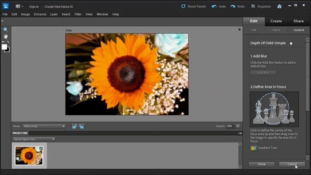 Create a Depth of Field with Adobe Photoshop Elements 10 смотреть онлайн