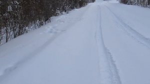 Лисы съели соболей. Охота на соболя. Проверка капканов. ОХОТА 86