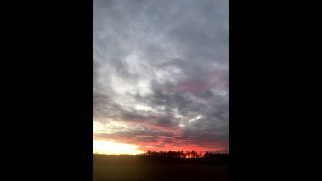 Красный закат смотреть онлайн