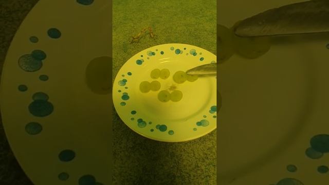 Плазма из винограда в домашних условиях смотреть онлайн