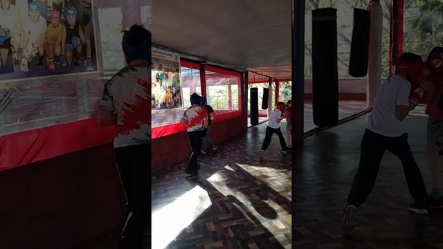 Боксерский Клуб