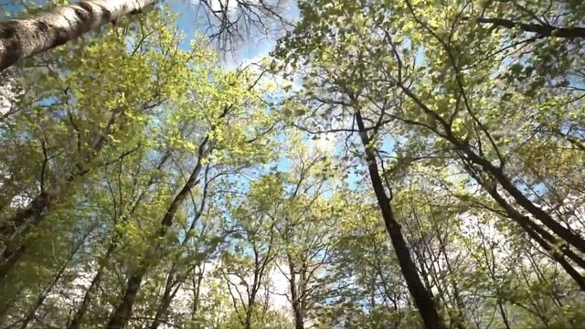 Солнечный 26 позиция смотреть онлайн