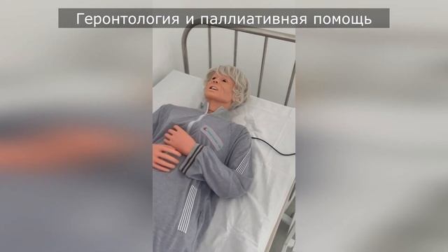 Геронтология и паллиативная помощь 2 смотреть онлайн