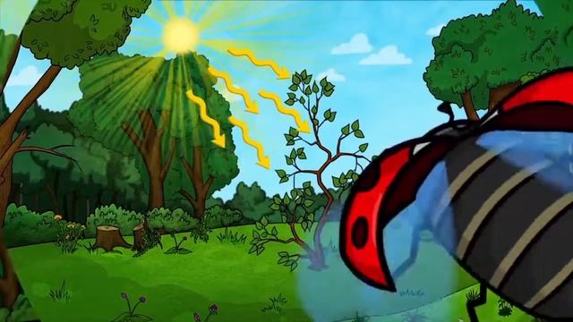 Профессор Почемушкин Почему листья зеленые смотреть онлайн