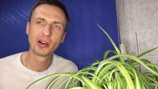 РЕАНИМАЦИЯ моего цветка и помощь ДРУГА, что сказал Георгий Горячевский смотреть онлайн