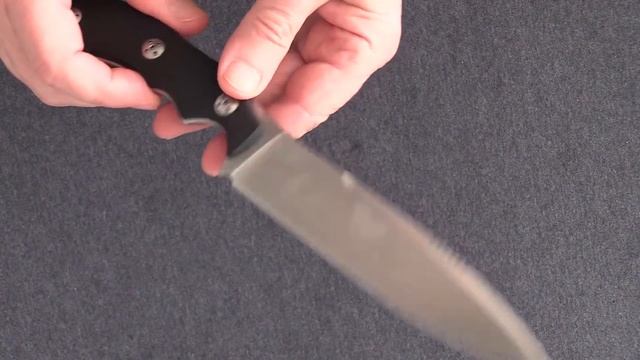 Bastinelli Creations Raptor 