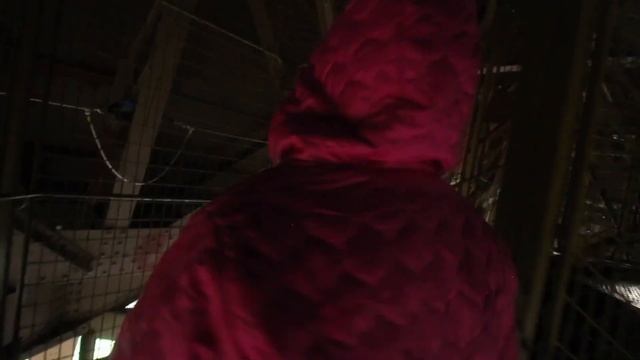 Fun Facts for KIDS - The Eiffel Tower - Stair Climb & Elevator to the Summit - Paris, France смотреть онлайн