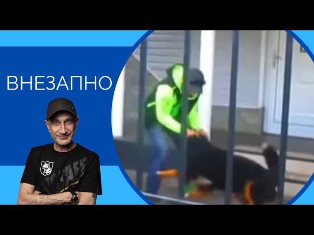 Внезапно #антуаннаджарян #агрессия #онлайнкурсы #воспитание #онлайншкола #психология смотреть онлайн