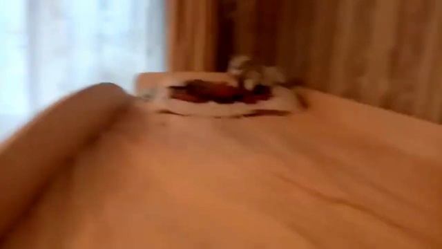 Видеообзор нашего покупателя на кровать-чердак Формула мебели Теремок-1 смотреть онлайн