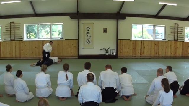 28 Ёкомэнути икё