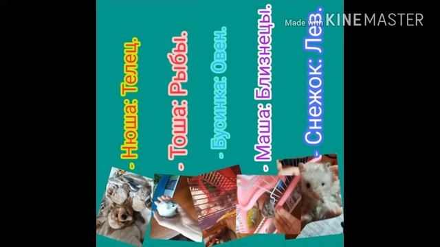 Животные и гороскопы, каких знаков наши животные.