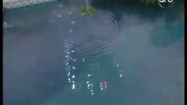 Roza Zergerli China - Avropali Gelin