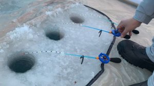 #169 #зимняя  #рыбалка | Затон реки Дон Лиски 11.01.2024 - ПЛОТВА | Про снасти для мормышинга |