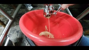 Брожение пива в цкт. Розлив пива в кеги. двухварочный порядок своими руками.