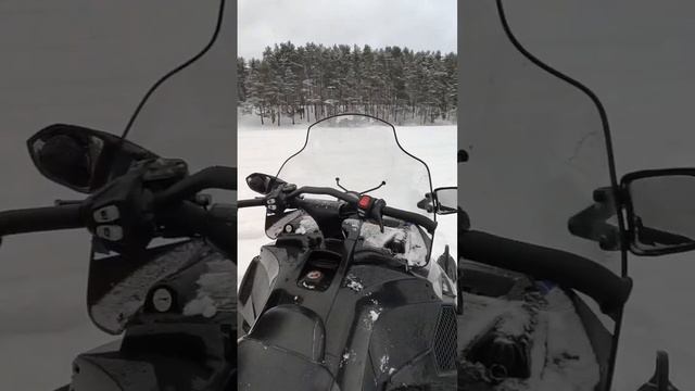 Обзор на снегоход ArcticCat ❄️ девушка за рулём ❄️ #arcticcat #bearcat #снегоход #snowmobile смотреть онлайн