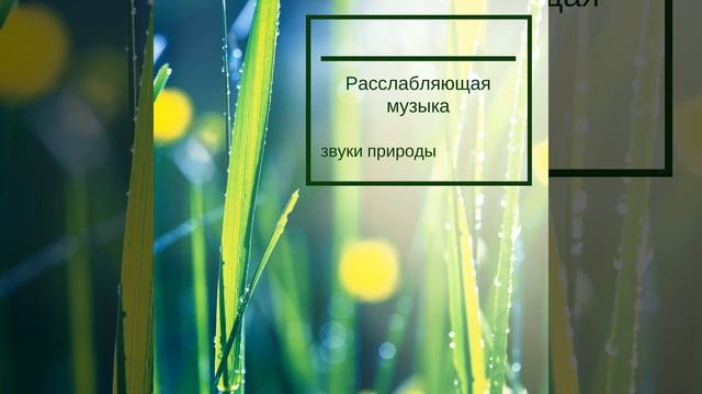 Музыка сна смотреть онлайн