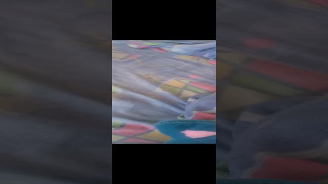 VID_20240817_100121.mp4