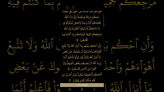 سورة المائدة ،للشيخ محمد صديق المنشاوي،تلاوة خاشعة هادئة مجودة ،صوت جميل جدا جدا ،قرآن كريم. смотреть онлайн