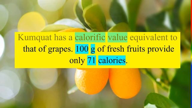 KUMQUAT FRUIT - HEALTH BENEFITS AND NUTRIENTS FACTS