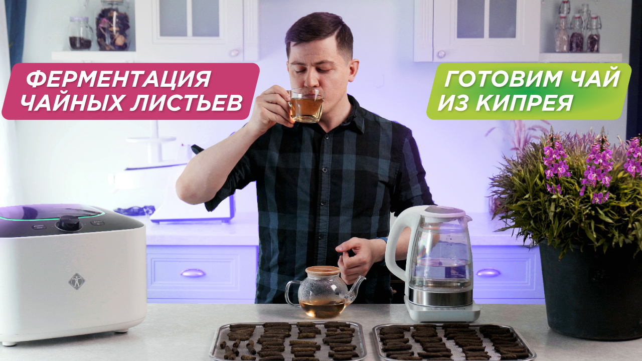 Как ферментировать иван чай в домашних условиях | Кипрей узколистный смотреть онлайн
