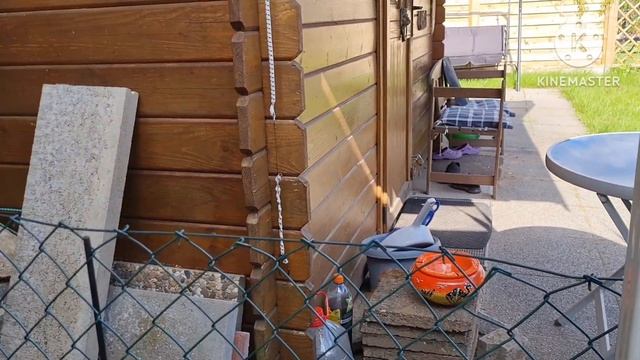 Vlog ?? Наша дача в Германии ?посадила мои любимые цветы/Canna/Канны тропические смотреть онлайн