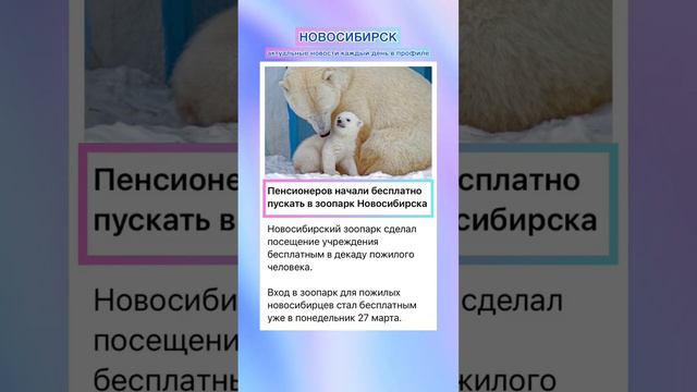 БЕСПЛАТНЫЙ БИЛЕТ В ЗООПАРК #новосибирск #новости #news #зоопарк #животные #популярное смотреть онлайн