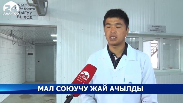 Ош облусунда ЕАЭБдин талаптарына жооп берген мал союучу жай ачылды смотреть онлайн