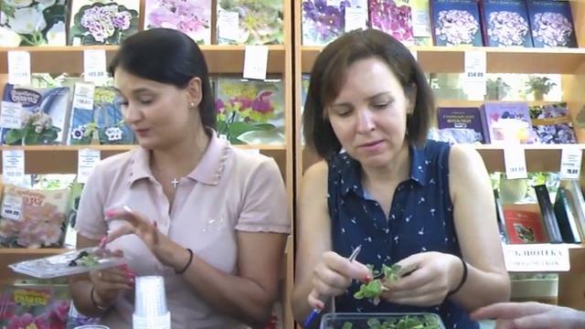 ДФ.Встреча с селекционерами И.Кабановой и Е.Трофименко смотреть онлайн