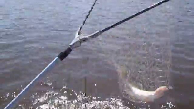 Мартовский судак, Ахтуба, база "Клевый берег" смотреть онлайн