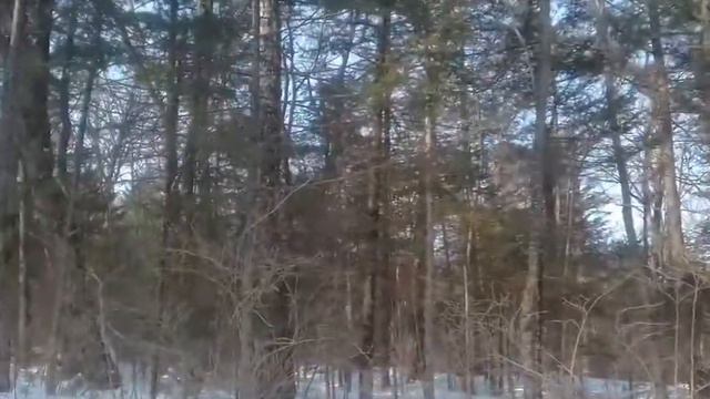 Ппогулка, костёр, сапоги ЭВА. смотреть онлайн