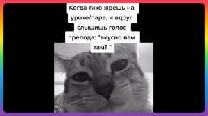 ПОДБОРКА МЕМОВ ИЗ ТИК ТОКА #22 | ТИК ТОК МЕМЫ 2022