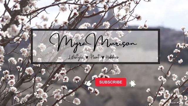 MARANTA LEUCONEURA KERCHOVEANA PLANT DIARY + Care Tips | Myra Murison