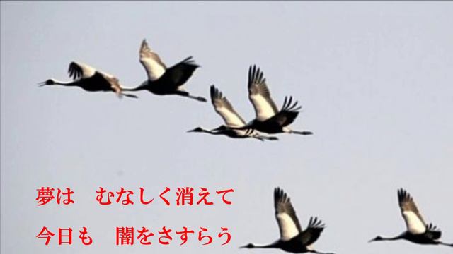 不死鳥・歌青年（１５８）　「北帰行／（小林旭）」　歌詞付き смотреть онлайн