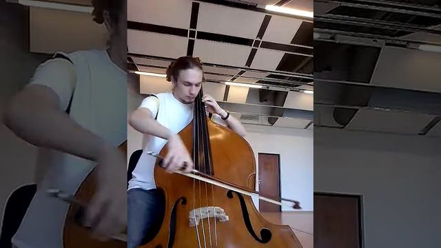 Carl Ditters von Dittersdorf Concert E-Dur Ivan Nakapelyukh смотреть онлайн