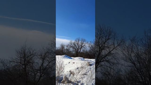 Семилуки, Воронеж. Идея! Лучше закрывать глаза людям, местным властям и депутатам, проходящим такое