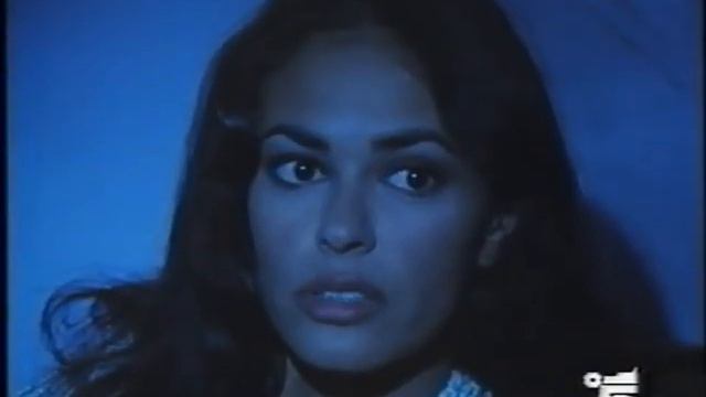 Padre Papà   Seconda Parte