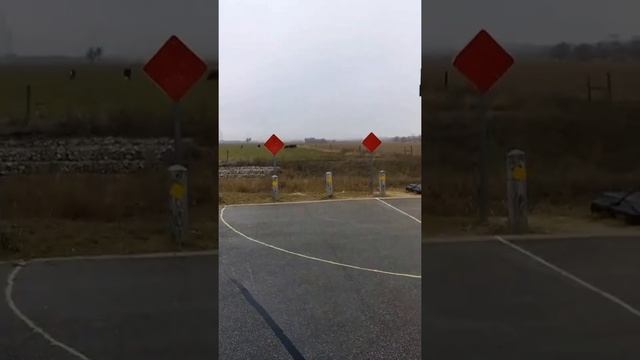 Cow whispers смотреть онлайн