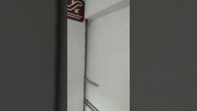 Траволатор в "Алми" смотреть онлайн