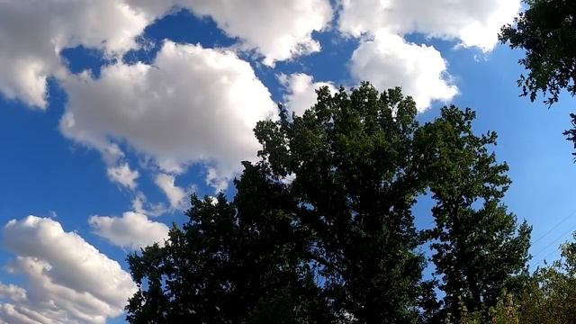 15 признаков что в вас влюблены. смотреть онлайн